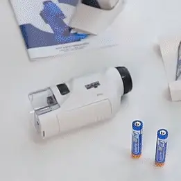 Miniatuur 2