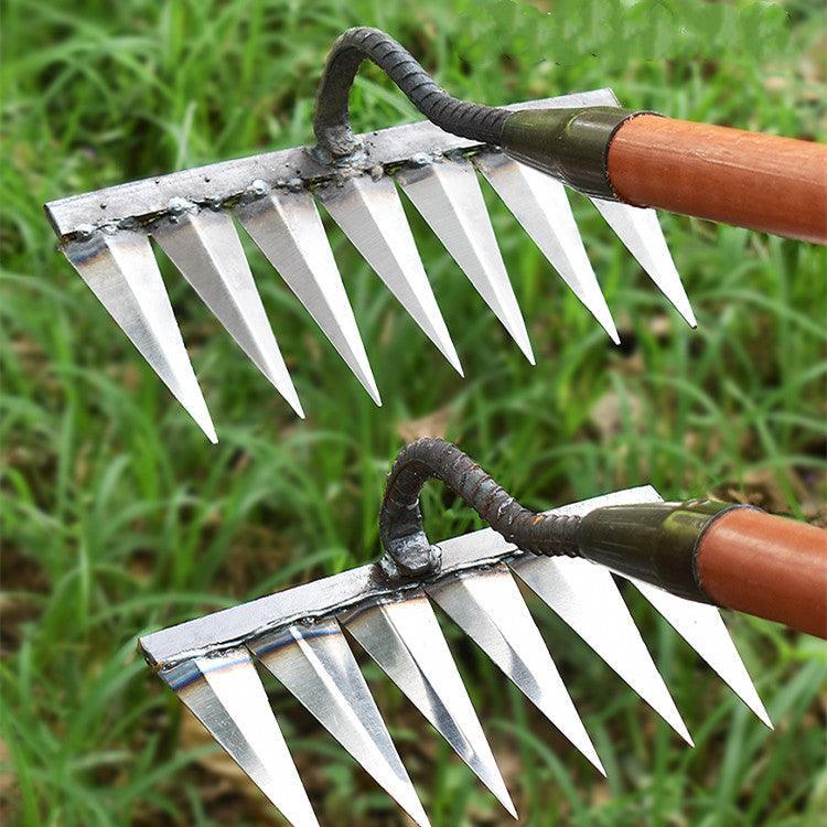 Miniatuur 1