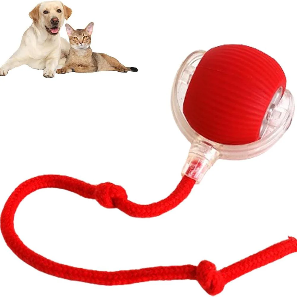 PawJoy | Interactieve speelbal voor huisdieren - Image 3