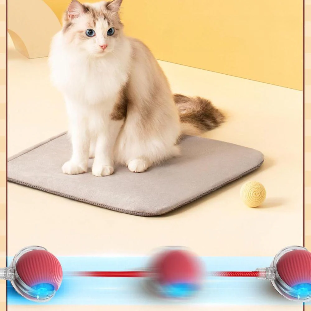 PawJoy | Interactieve speelbal voor huisdieren - Image 8