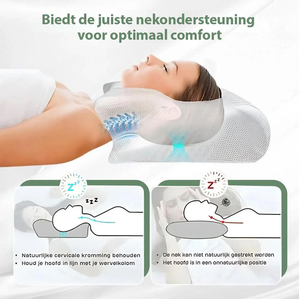 SleepAlign | Het orthopedisch kussen voor een gezonde slaaphouding - Image 4